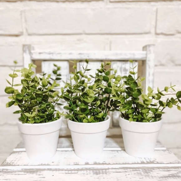 Farmhouse mini white pots with greenery plants decor - Picture 1 of 1